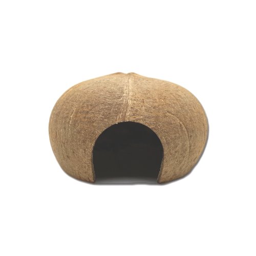 코코넛 이너(대) 75개 (12.5cm 이상)